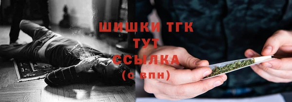 тгк Армянск