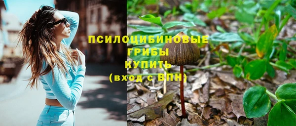 тгк Армянск