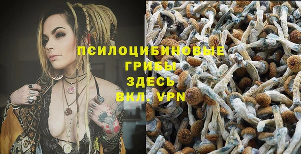 молекула духа Балабаново