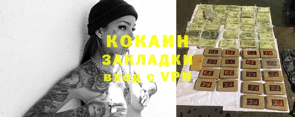 кокс Арсеньев