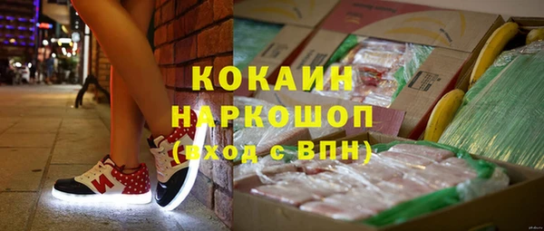 кокс Арсеньев