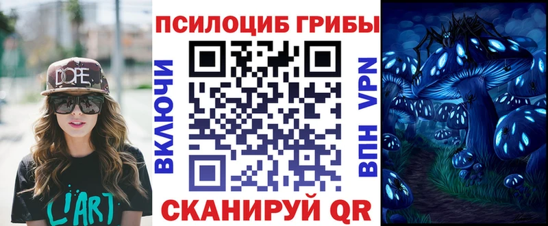 Псилоцибиновые грибы ЛСД  ОМГ ОМГ рабочий сайт  Новомосковск 