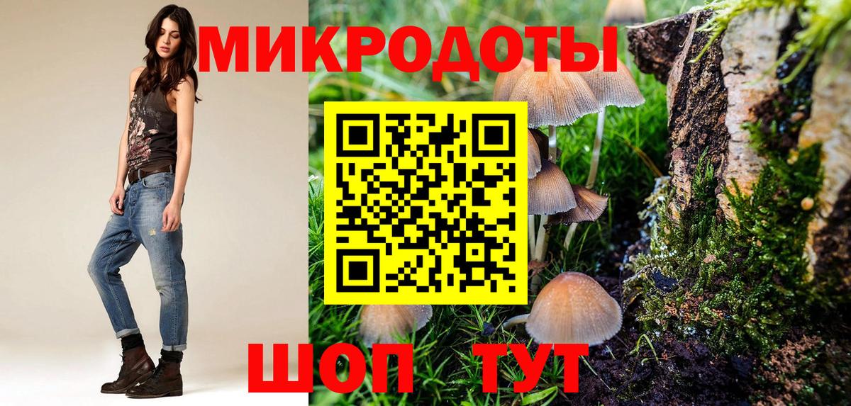 Новомосковск  Псилоцибиновые грибы GOLDEN TEACHER  наркотики  Вход с VPN 